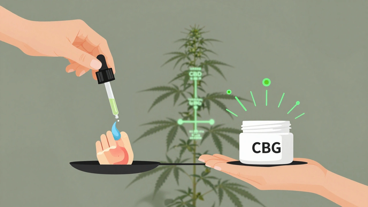 Váha s CBD a CBG: jedna strana léčí chronický zánět, druhá bojuje proti akné.